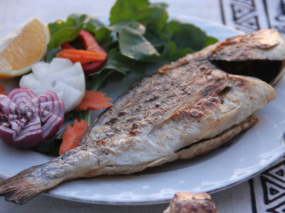 Balıklar
