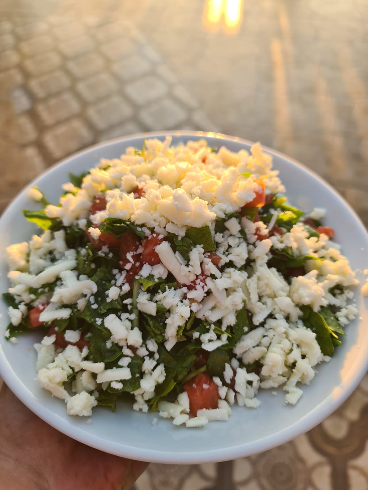 Roka Salata