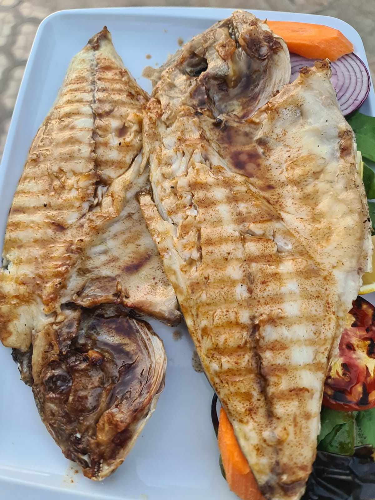 Deniz Çupra / Sea Bream
