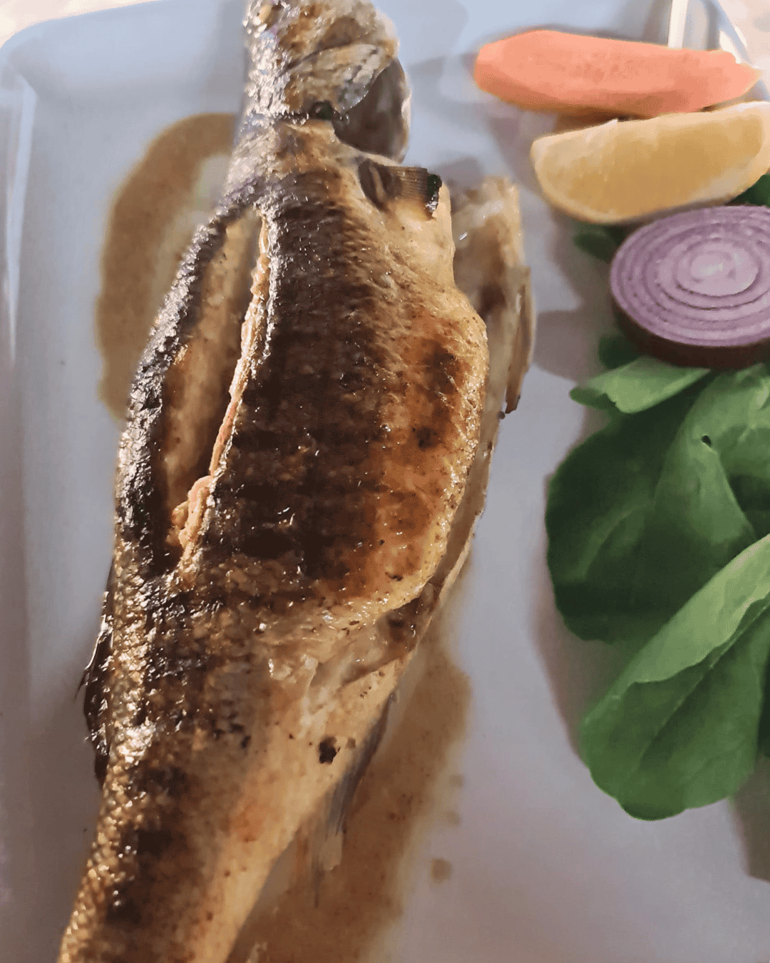 Levrek Çiftlik / Sea Bass Farm