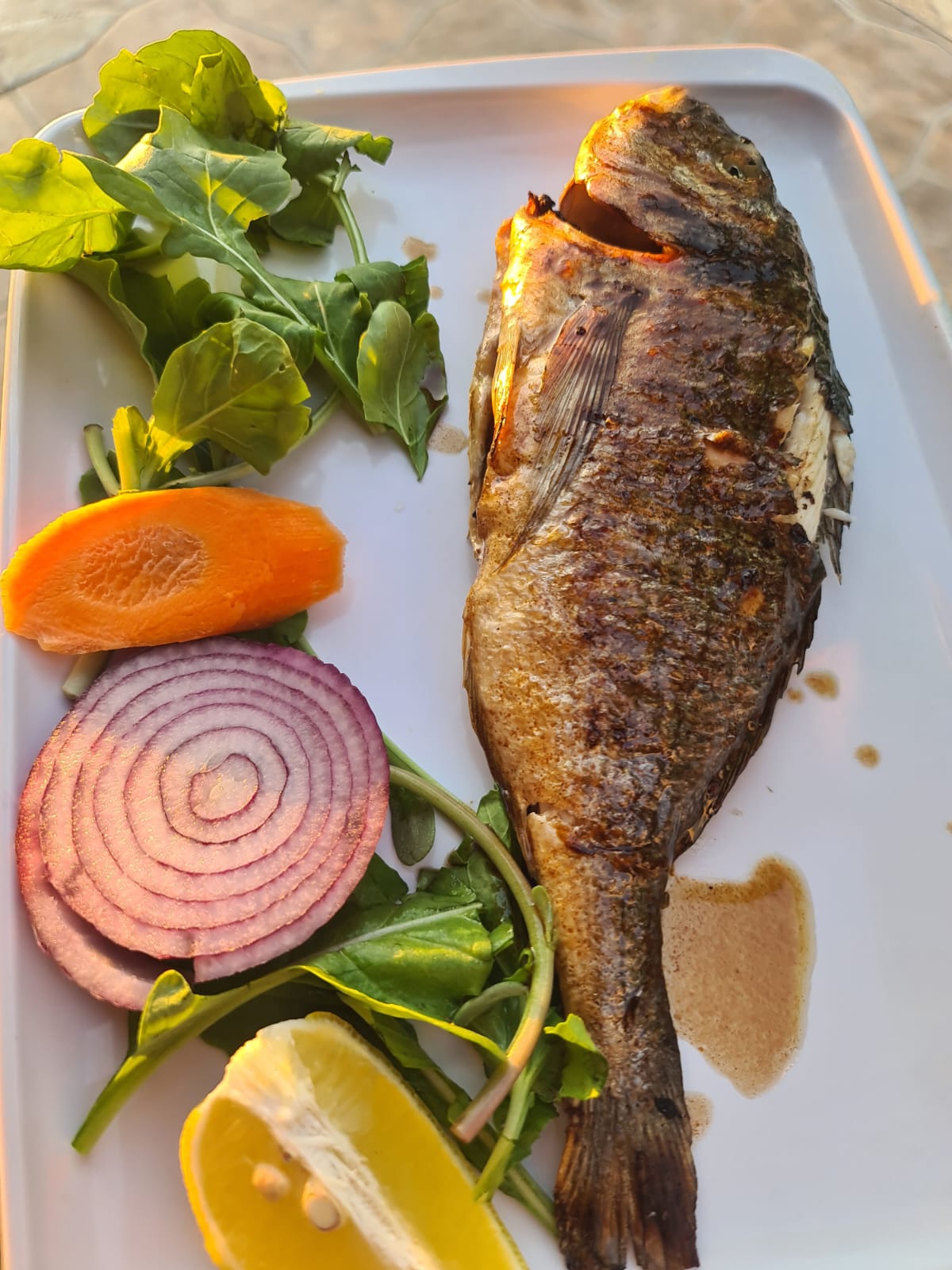 Çupra Çiftlik / Sea Bream Farm
